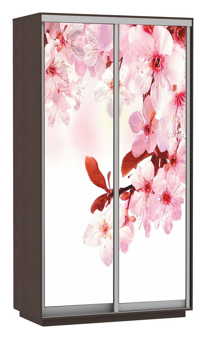 Шкаф-купе экспресс, 180х60х220 см, мебельная компания е1
