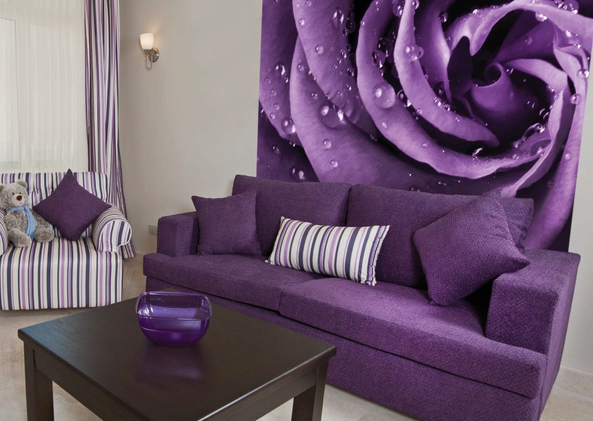Фиолетовый диван в интерьере гостиной сочетание цветов (55 фото)