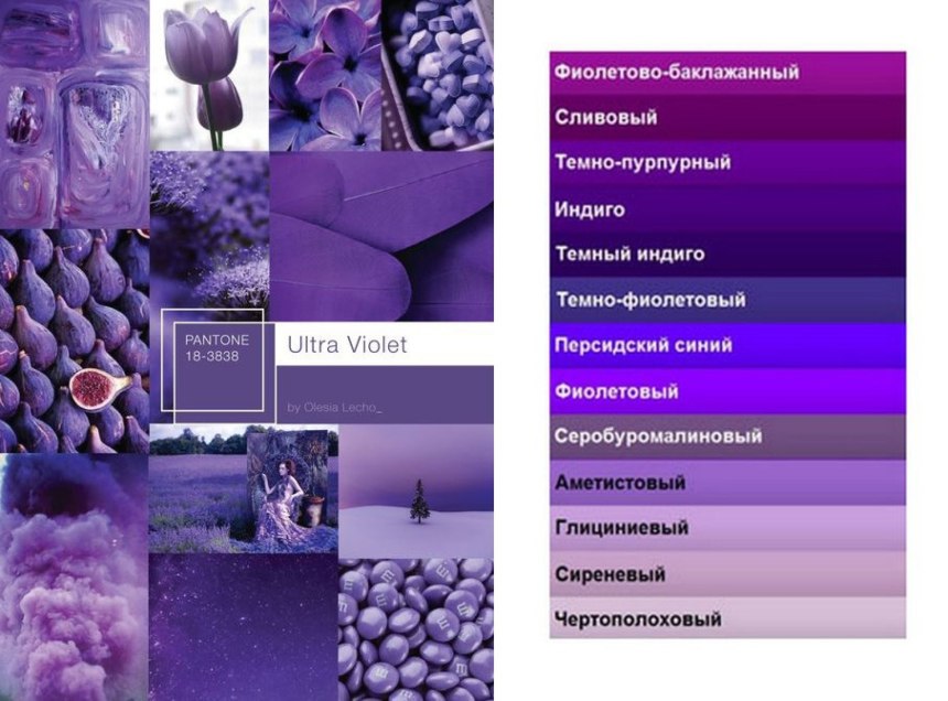 Оттенки фиолетового