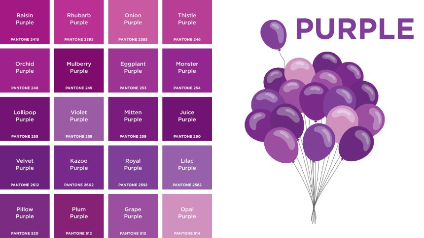 Violet цвет лиловый пантон