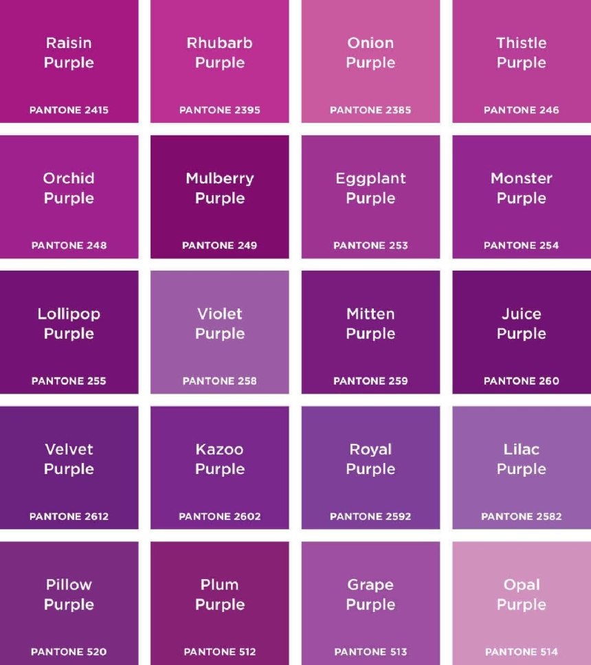 Violet цвет лиловый пантон