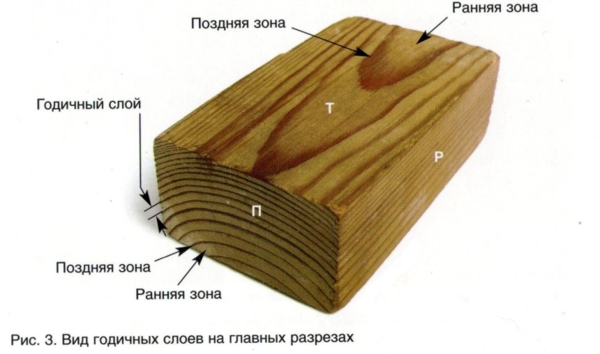 Пороки древесины пороки строения древесины