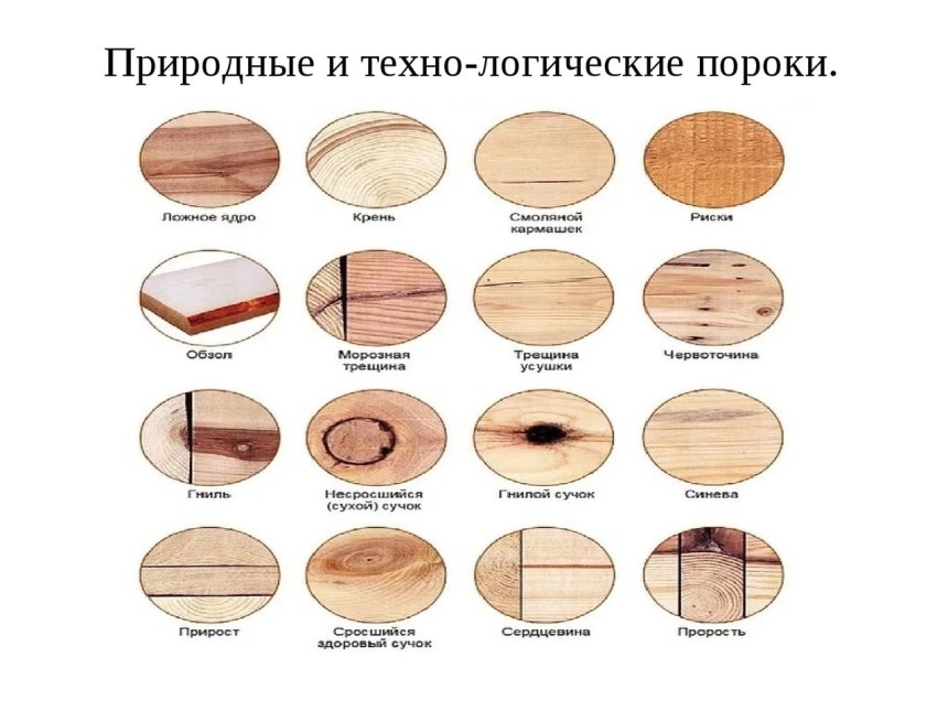 Породы деревьев для резьбы по дереву