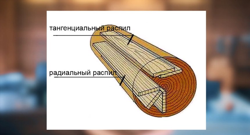 Текстура дерева скетчинг