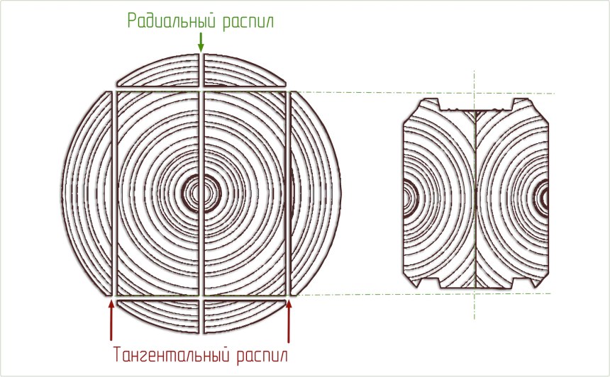 Сердцевинные лучи древесины дуба
