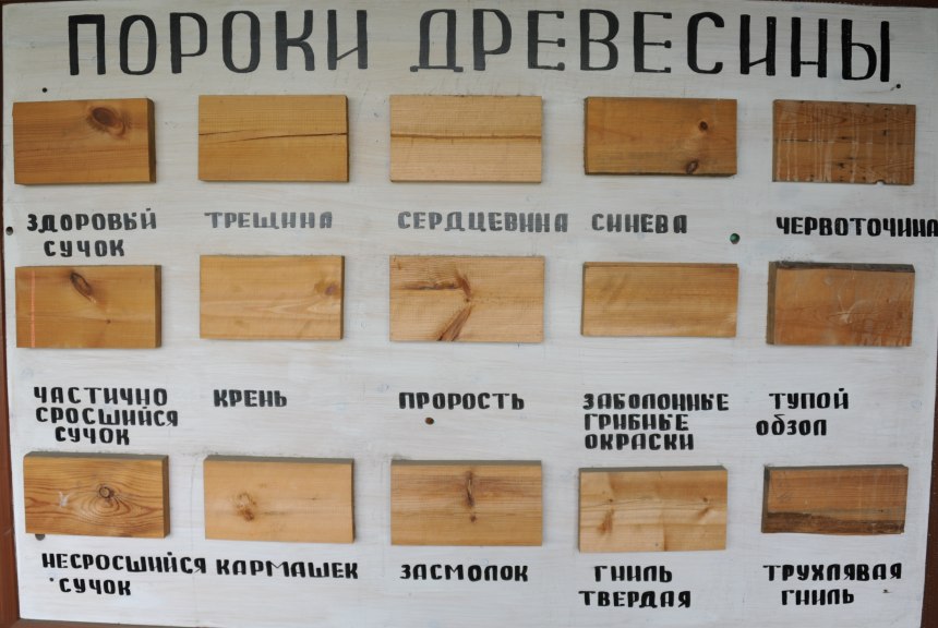 Спил доски текстура