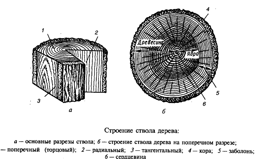 Шпала необрезная двухкантный брус