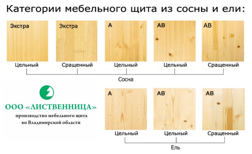 Бук дерево цвет древесины