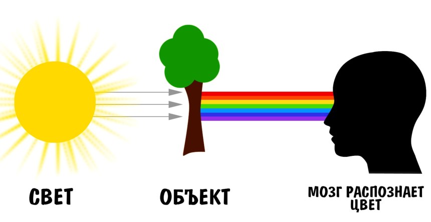 Влияние внешних факторов окружающей среды на рост и развитие растений - начальны