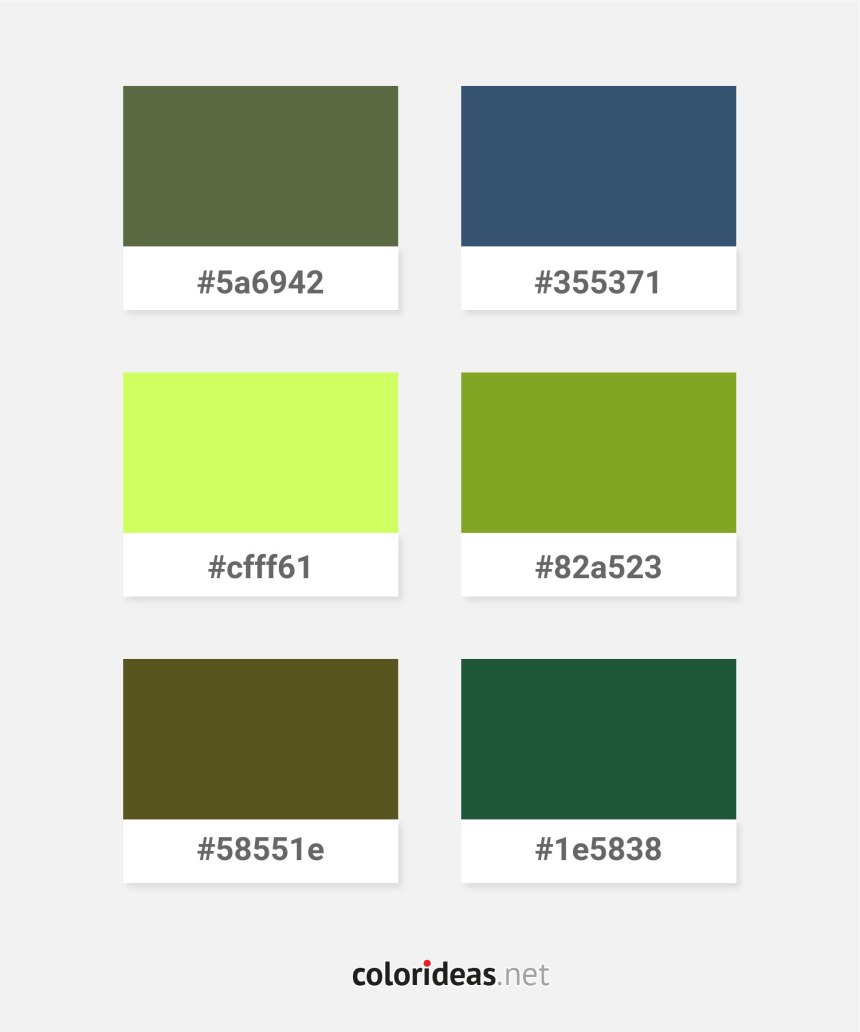 Dark Olive Color