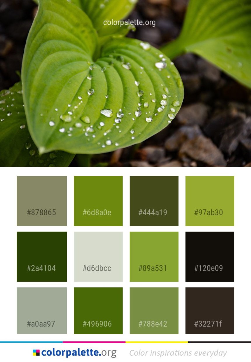 Dark Olive цвет