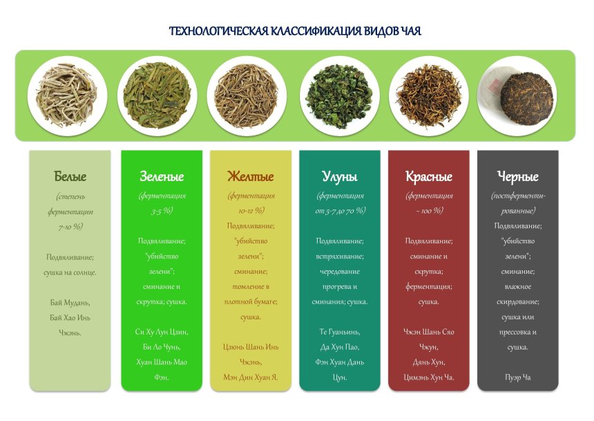 Классификация чая по степени ферментации