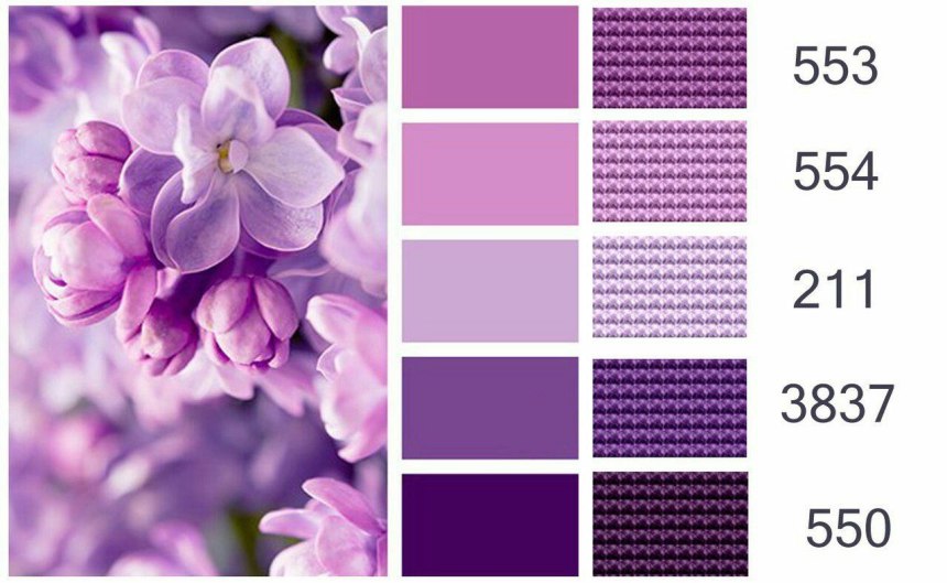 Оттенки фиолетового палитра (50 фото)