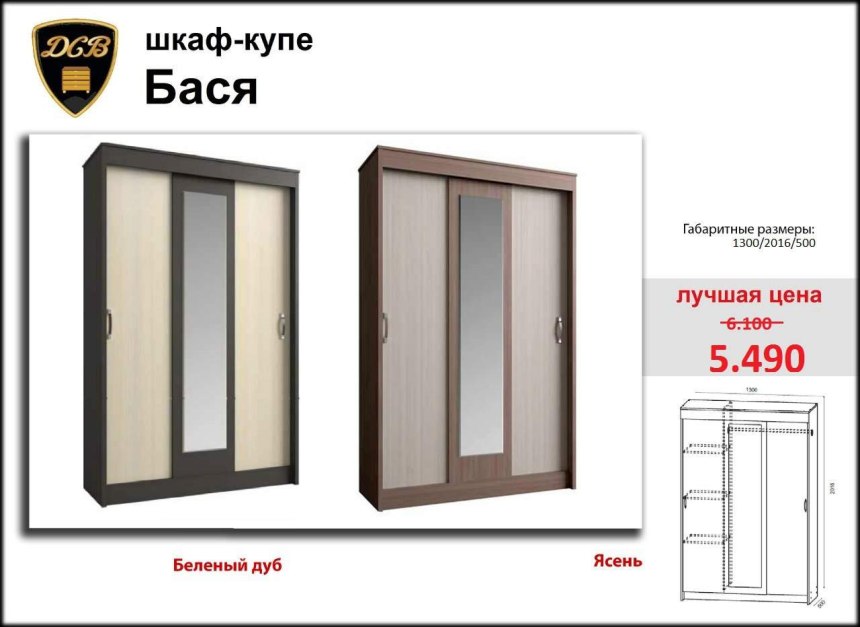 ТЭКС шкаф-купе "Бася"
