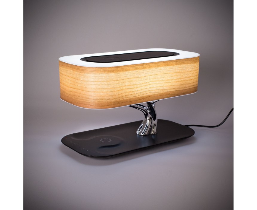 Настольная лампа Arte Lamp braccio a2054lt-1ab