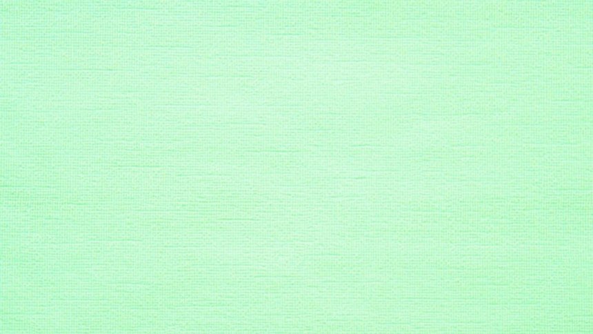 Мятный цвет 3eb489