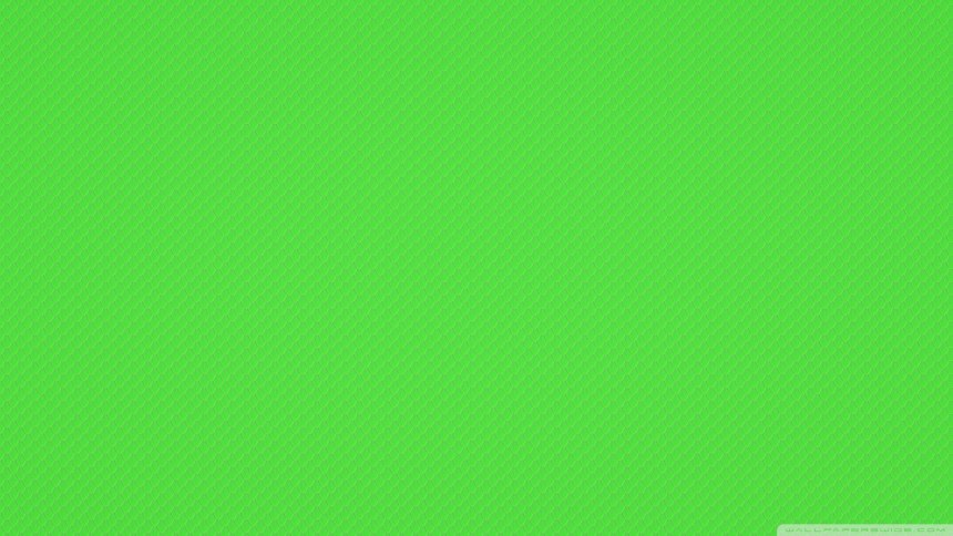 Зеленый цвет однотонный (75 фото)