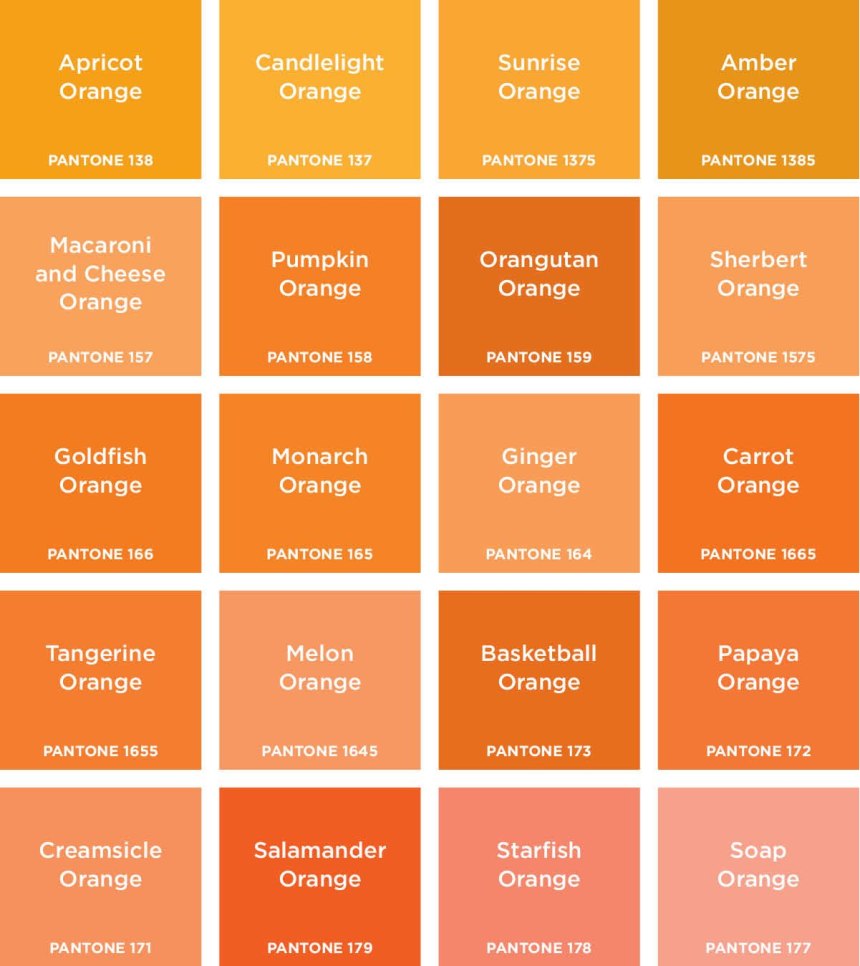 Оранжево персиковый цвет (64 фото)