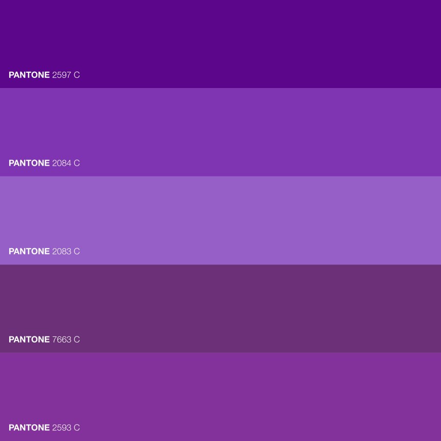 Violet цвет лиловый пантон