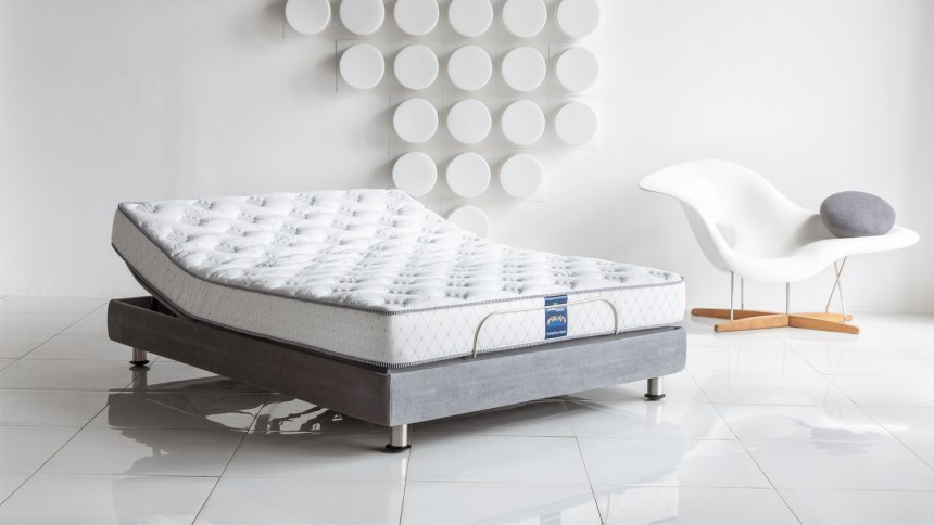 Аскона Ergomotion 450