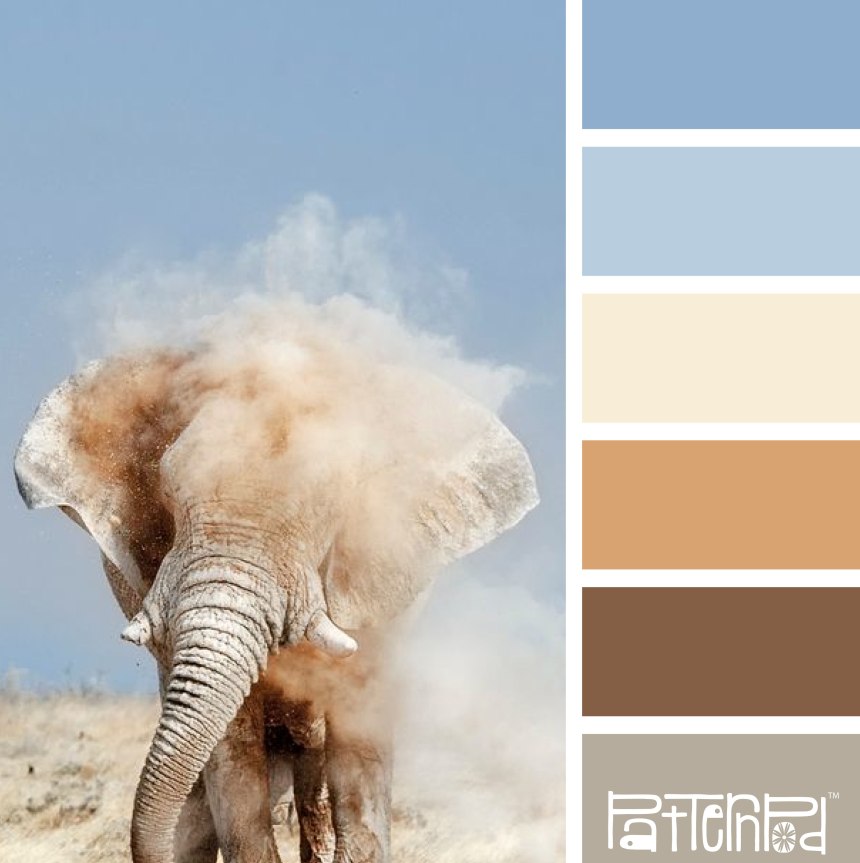 Цвет слоновой кости палитра (51 фото)