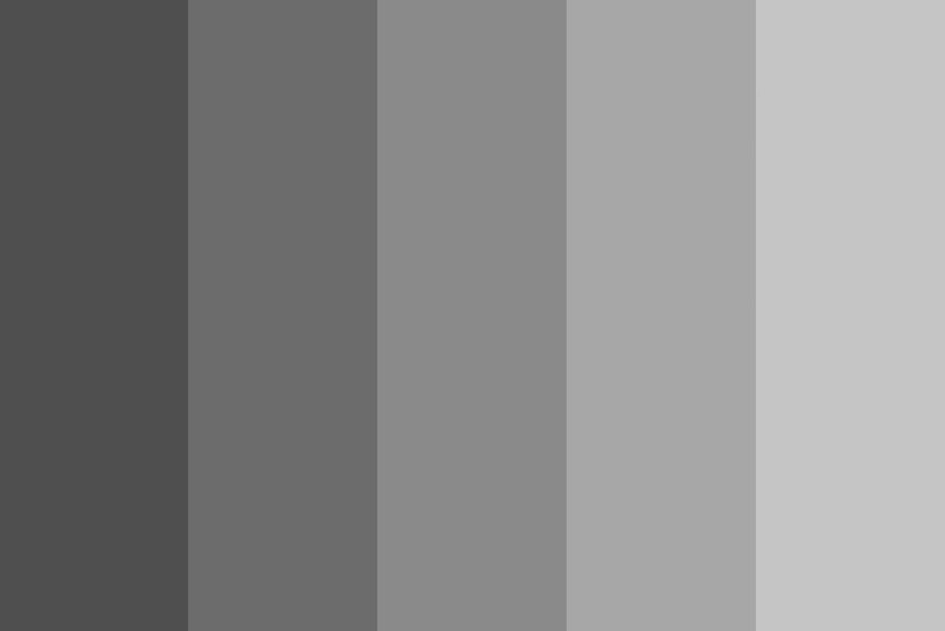 Благородный серый цвет (51 фото)