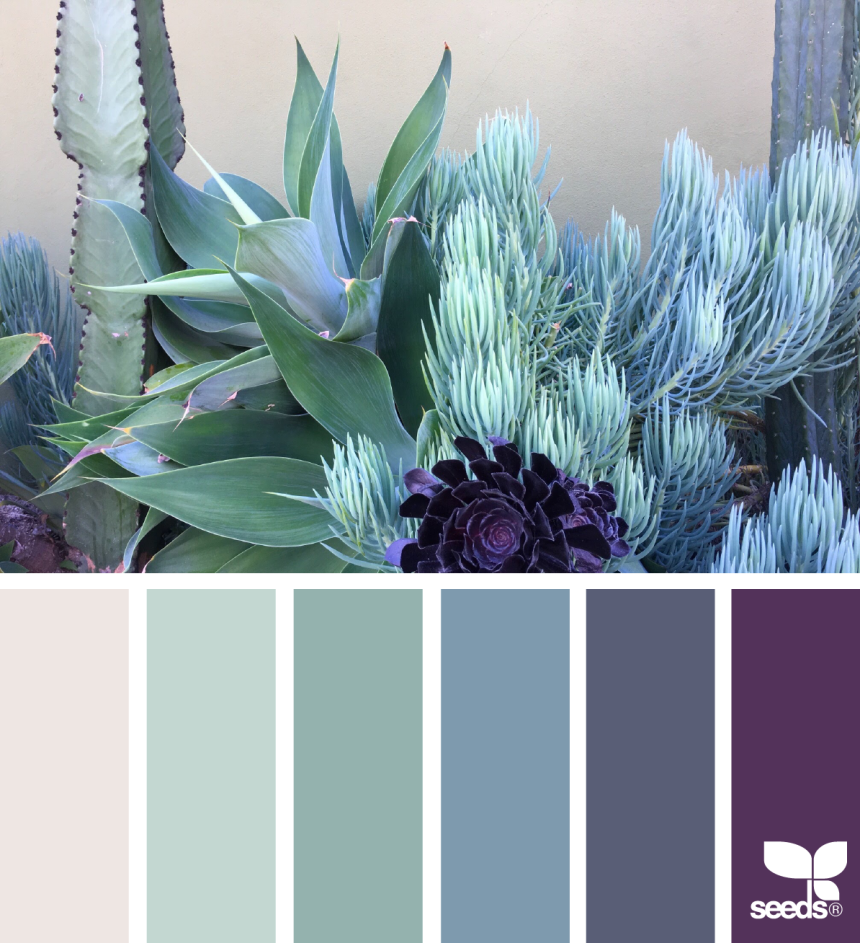 Seeds Color Palette изумрудный