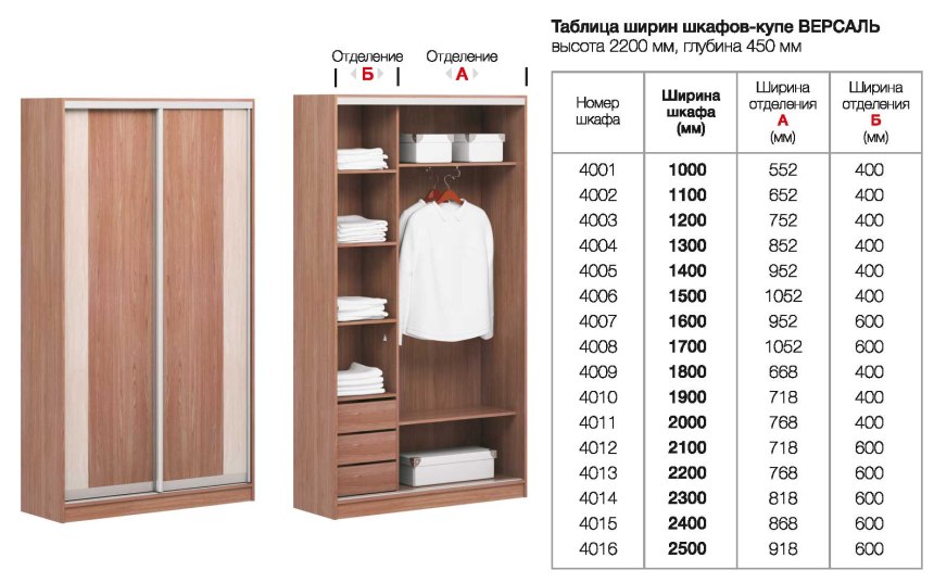 Шкаф купе ширина 2500 высота 2100 глубина 600